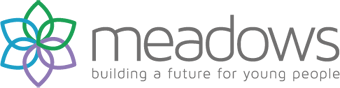 Meadows Care Logo